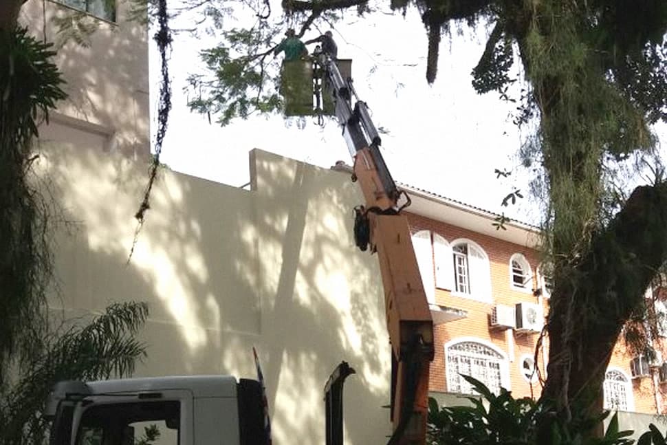 Locação de Muncks - imagem 9